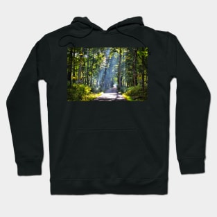 Morning Stream of Light Hoodie